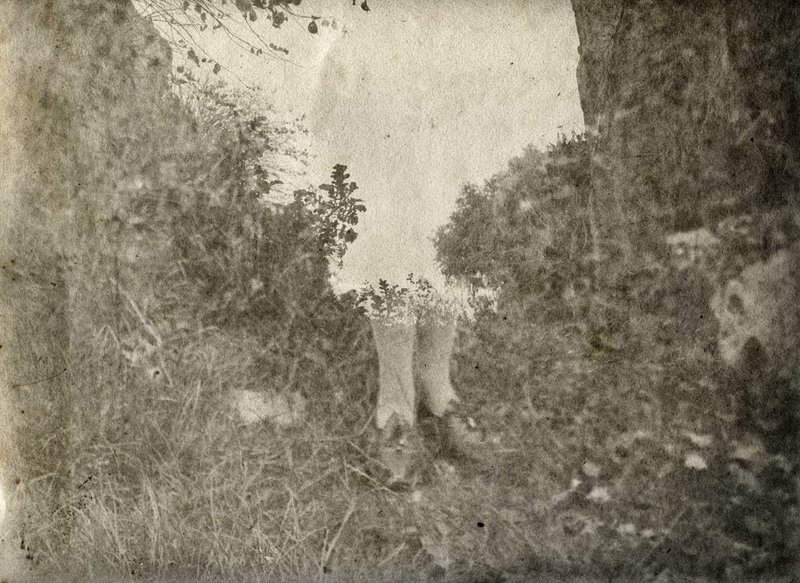 Alessandra Calò, Chthonic (χθόνιος), 2024