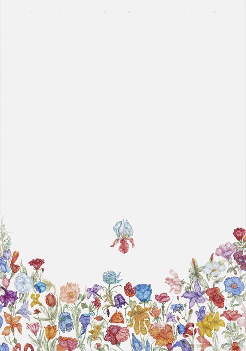 Sale Sharifi, Untitled, 2014