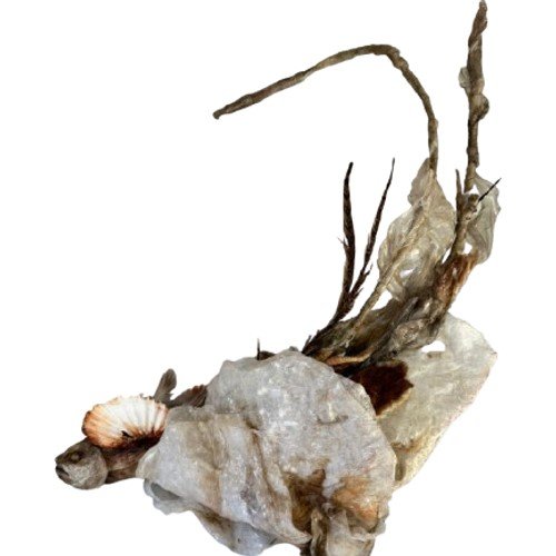 Elham Fallahi, Untitled, 0
