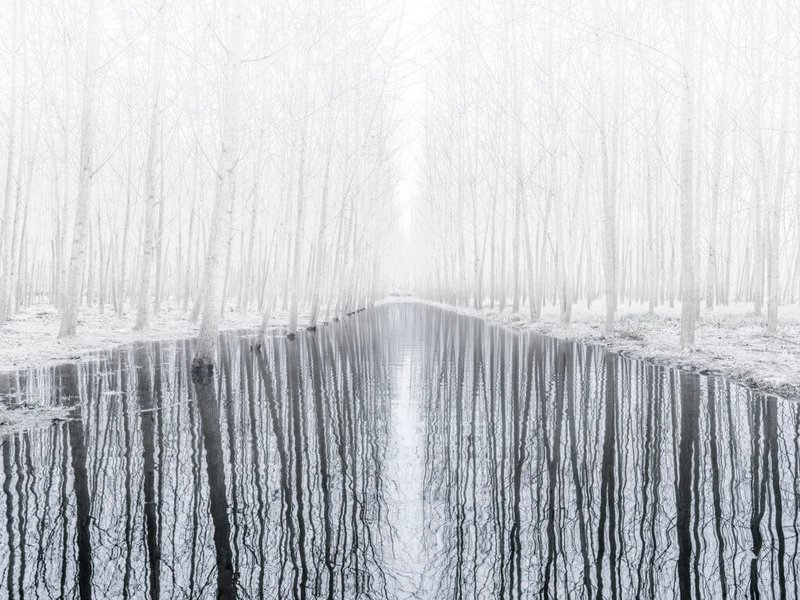 Mehrdad Afsari, Untitled, 2018