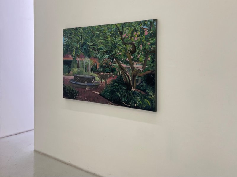 A Yard in Search of Life, installation view