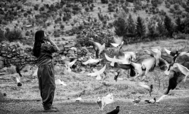 Maryam Ashrafi, Untitled, 0