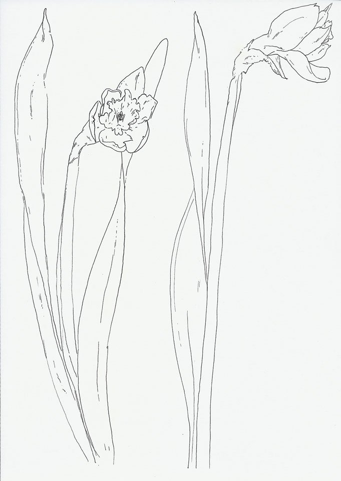 Benoit Blanchard, Untitled, 0