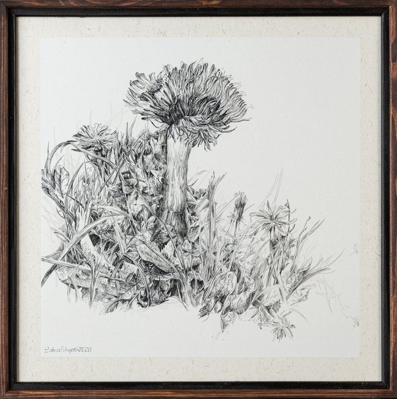 Zahra Ghyasi, Dandelions, 2020