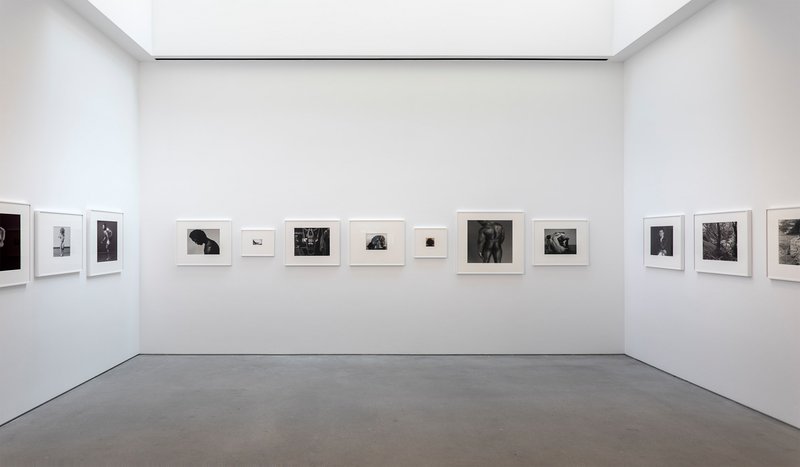 Robert Mapplethorpe's Exhibition at Gladstone Gallery