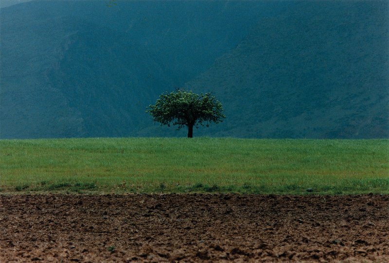 Abbas Kiarostami, Untitled, 2000
