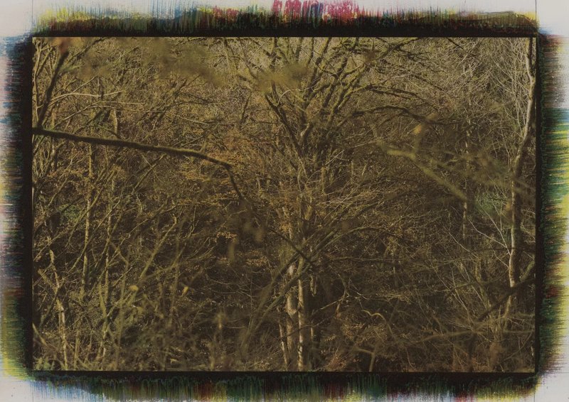 Mehrali Razaghmanesh, Untitled, 2020