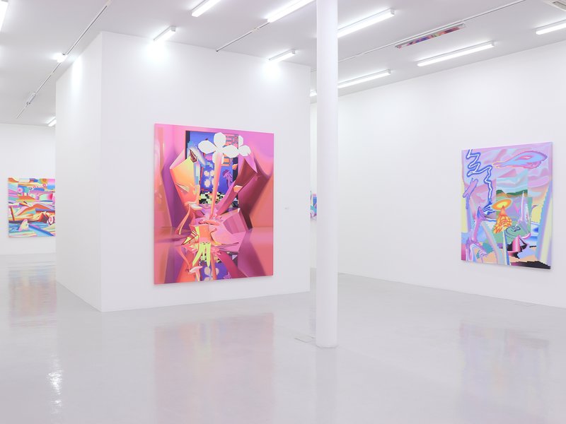 Transcendent Dimensions, installation view