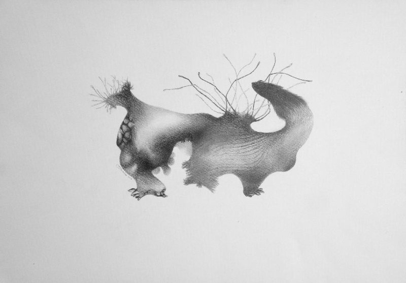 Mitra Valaei, Untitled, 2013