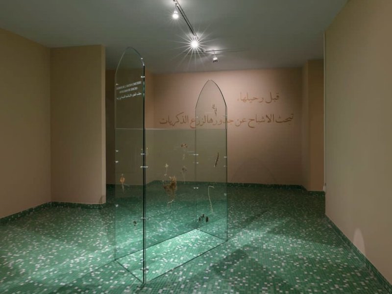 گل رز جریکو، نمای چیدمان