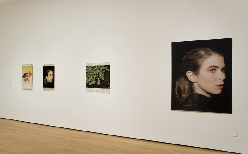 Installation view.