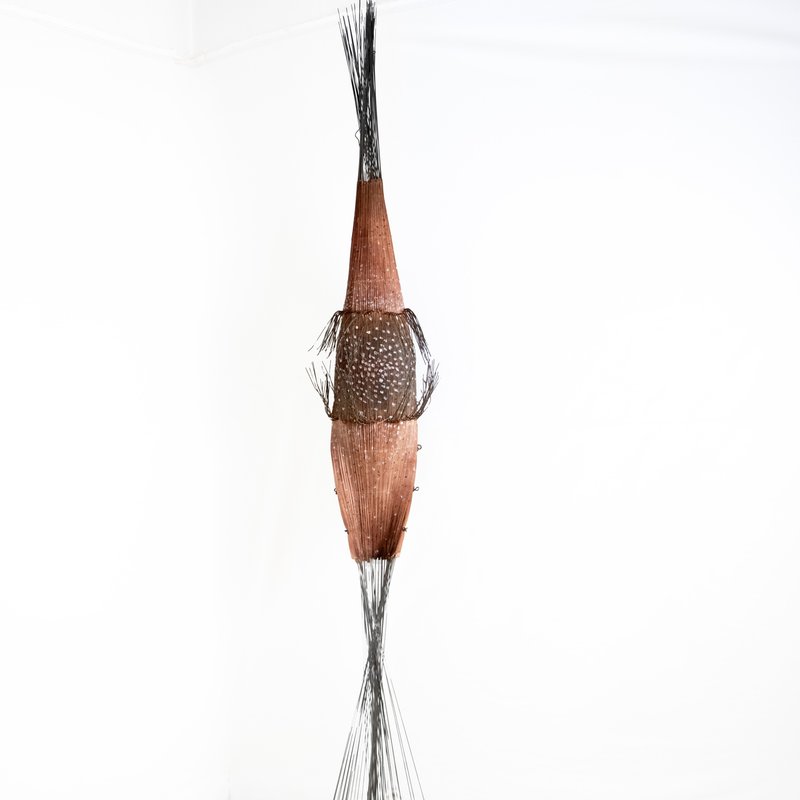 Hamidreza Farahnaki, Untitled, 2025