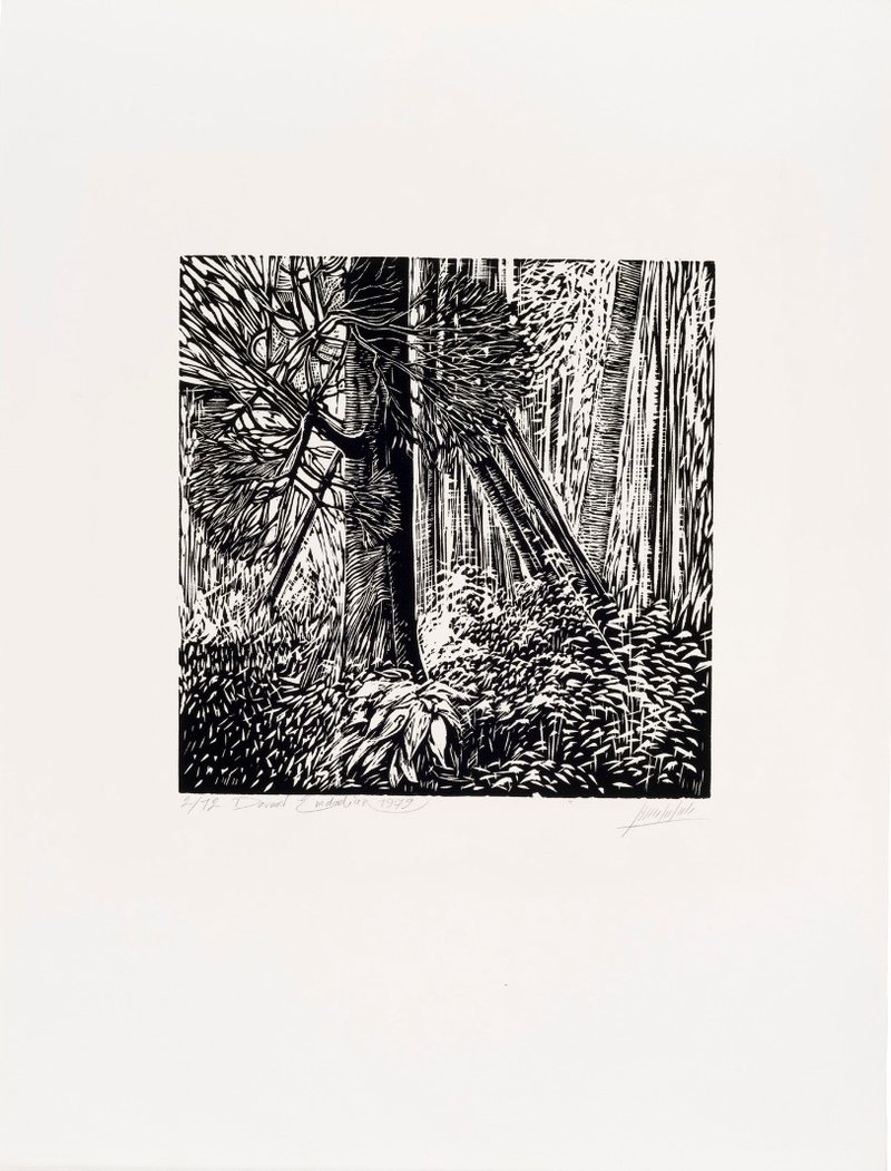 Davood Emdadian, Untitled, 1979
