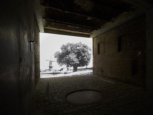 ویدیو به تفصیل، نمای چیدمان