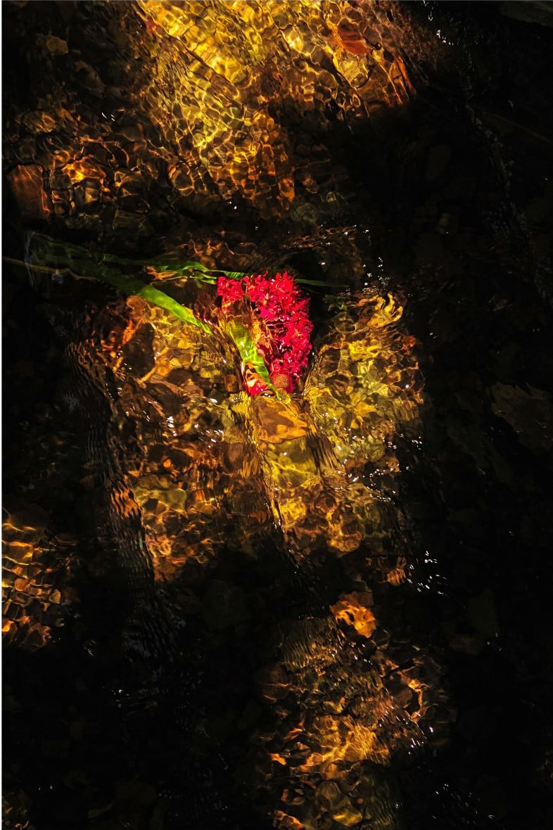 Davood Amiri, Untitled, 0