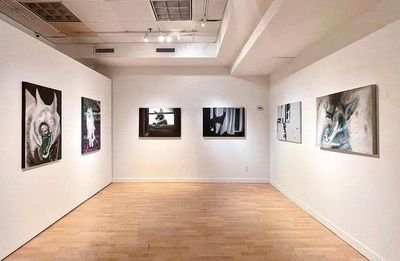 Dog Days , installation view