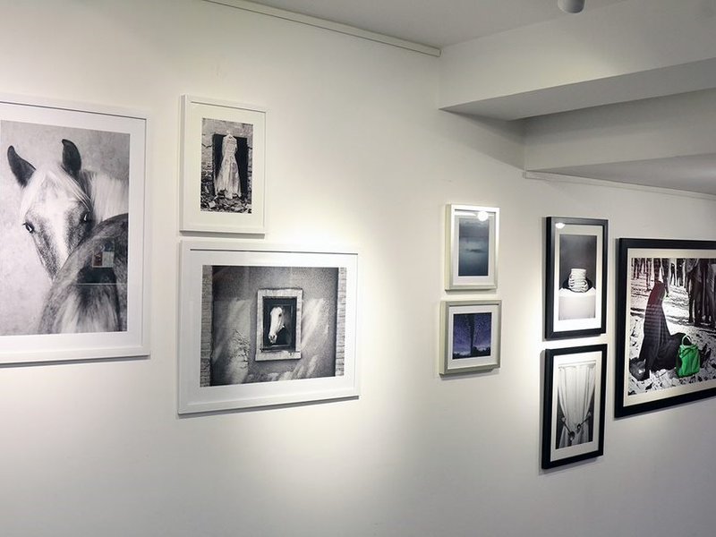 I Am, What I See, installation view