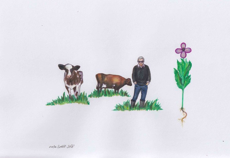 Marjan Saeidi, Untitled, 2016
