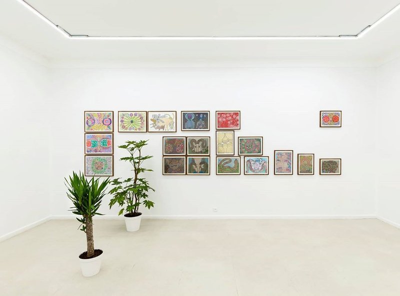 Domesticated Flowers, installation view