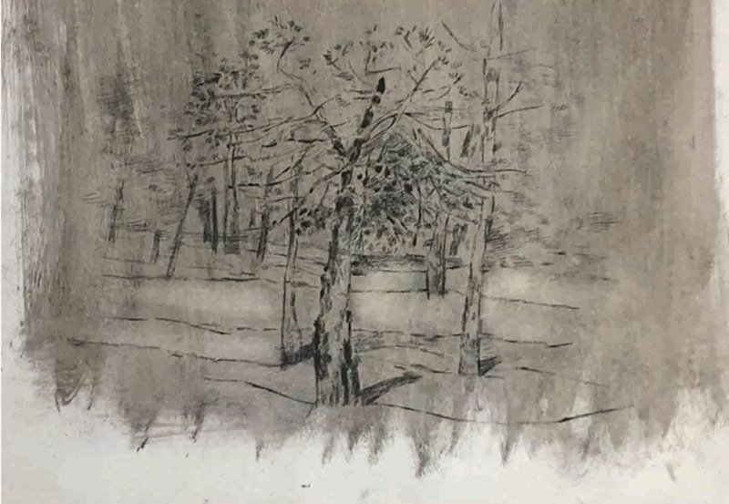 Atena Fereydouni, Chitgar Park, 2018