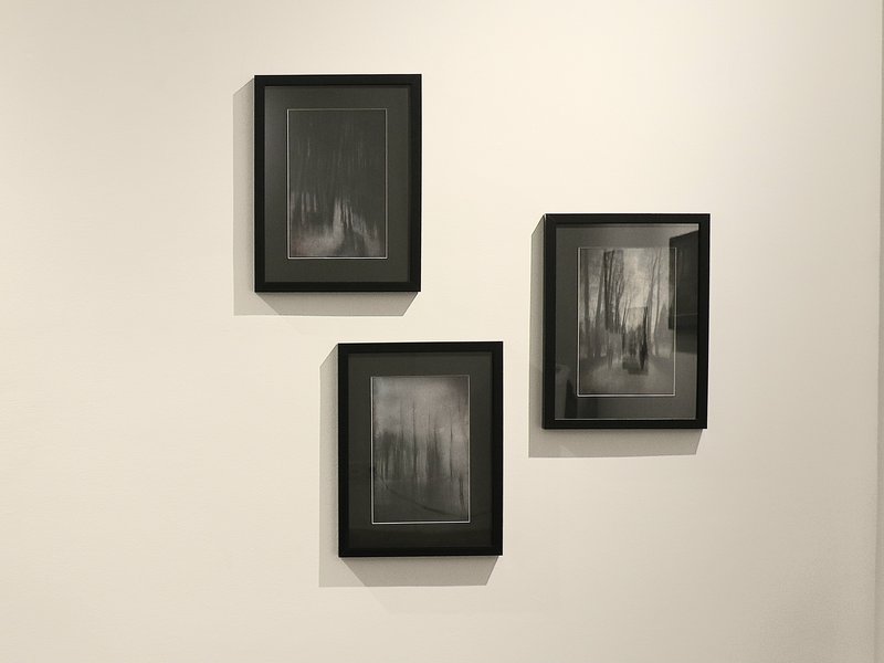 Between Shadows and Light, installation view