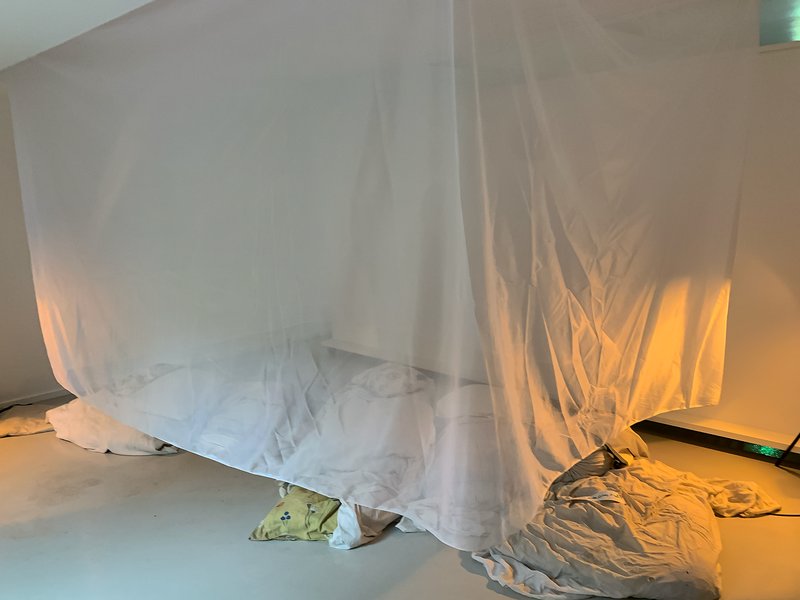 Safe and Sound, installation view
