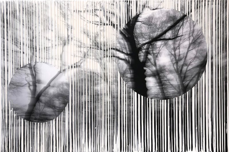 Boundless Phoria, 2019