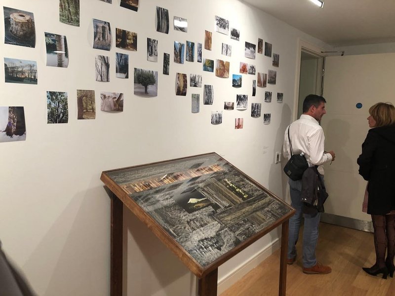 Dusted Waters, installation view