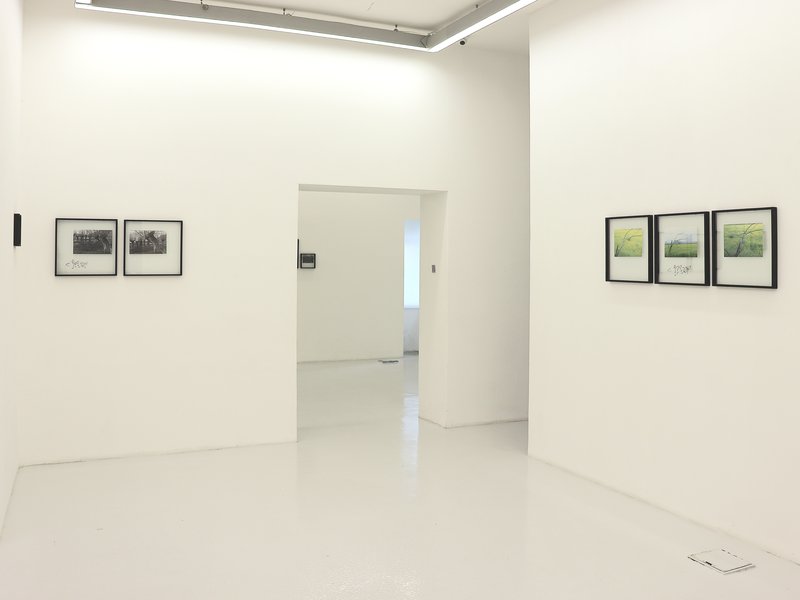 Choice, installation view