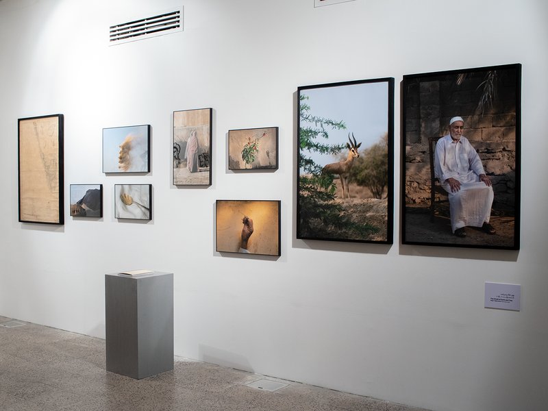 Arbitrary Lines, installation view
