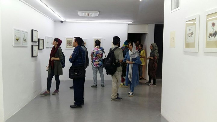 گاوی زیر صنوبر، نمای چیدمان