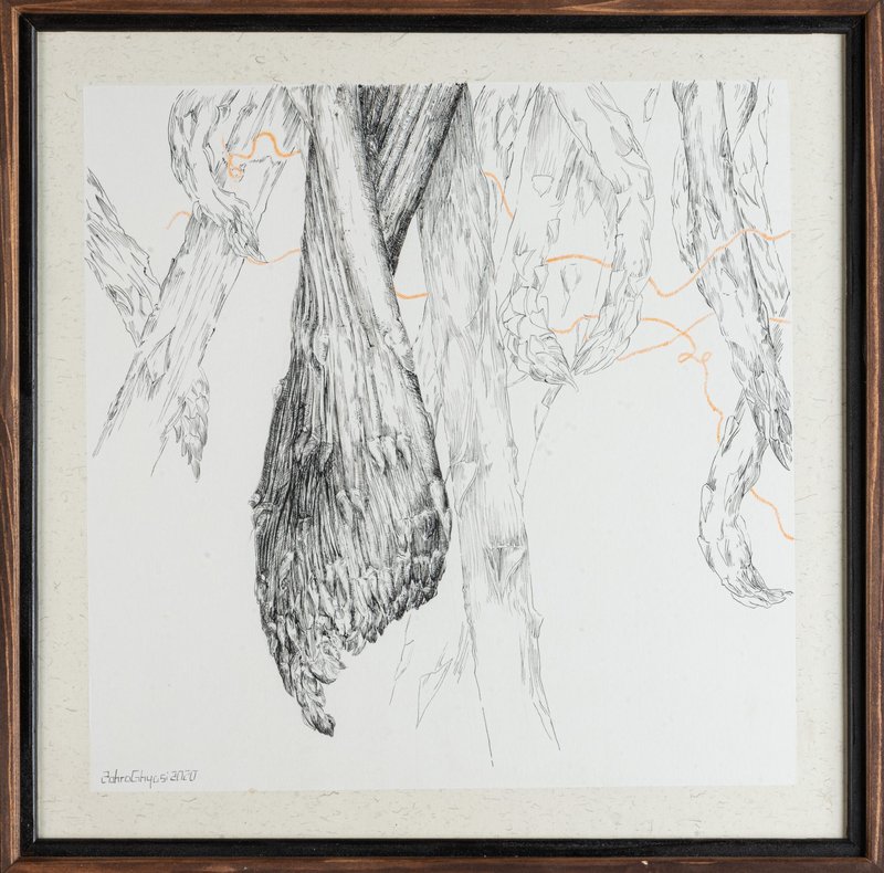 Zahra Ghyasi, Asparagus, 2020