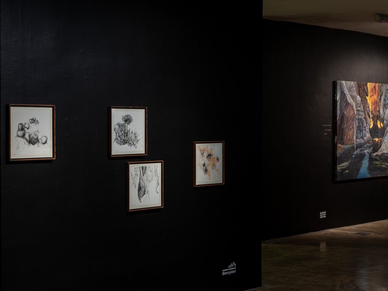 Locus, installation view