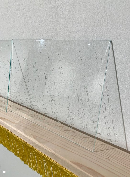 Leila Seyedzadeh, Untitled, 0