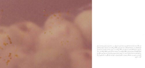 Nastaran Fotouhi, Untitled, 2025