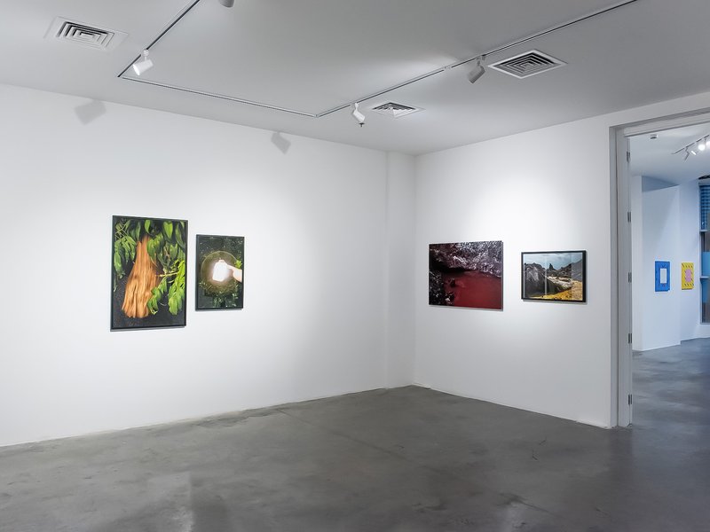 Another Birth, installation view