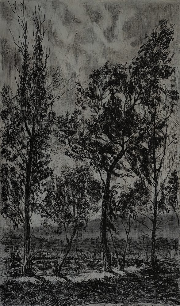 Samaneh Samimi, Untitled, 2019