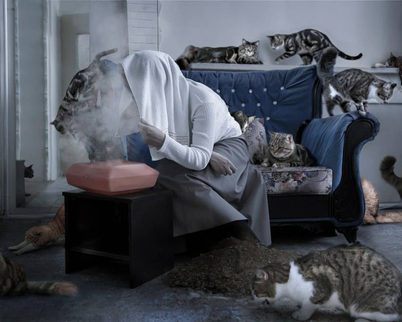 Sara Sasani, Untitled, 2020