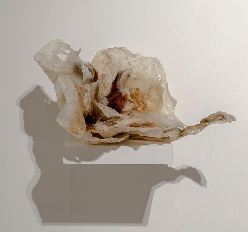 Elham Fallahi, Untitled 14, 2022