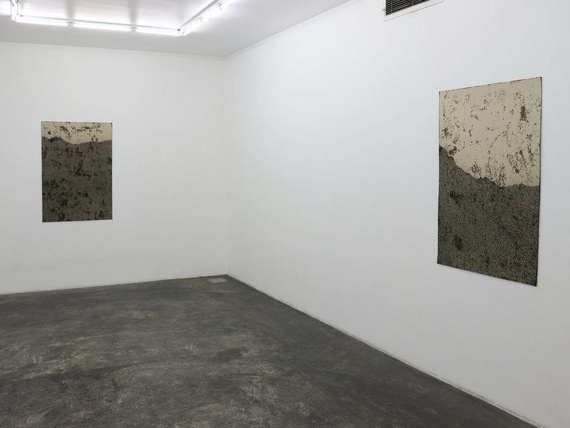 Metal Seed, installation view
