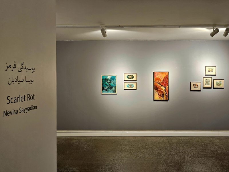 Scarlet Rot, installation view