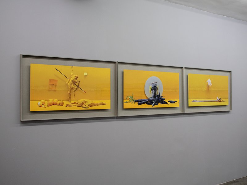 Muse-um, installation view
