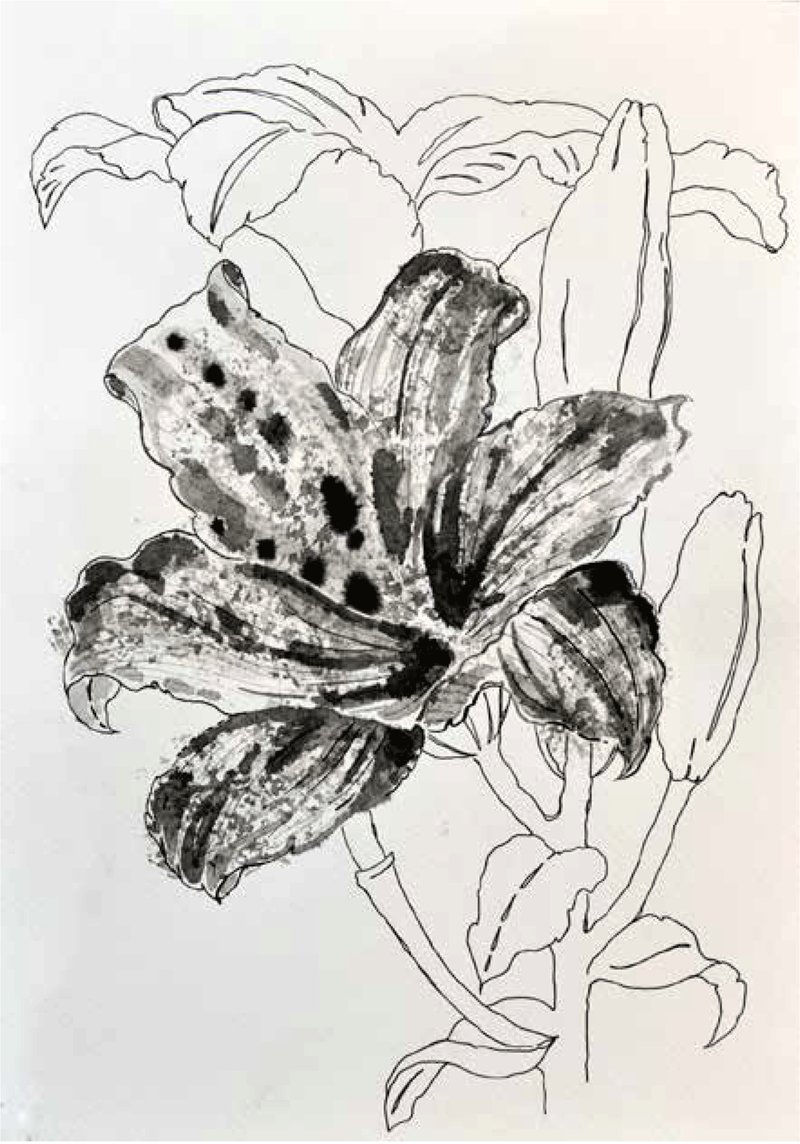 Shirin Karami Mofrad, Untitled, 2024