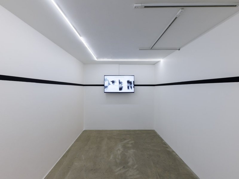 Arabesques and That Flower Bunch, installation view
