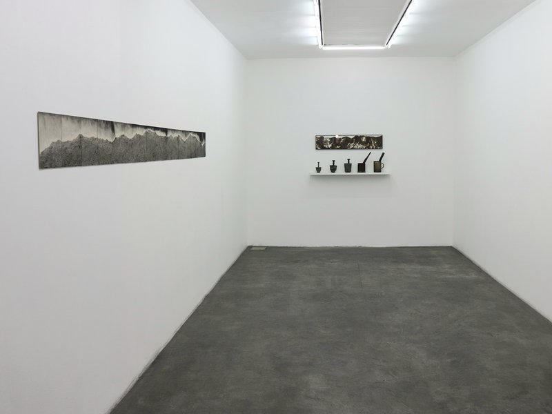 Metal Seed, installation view