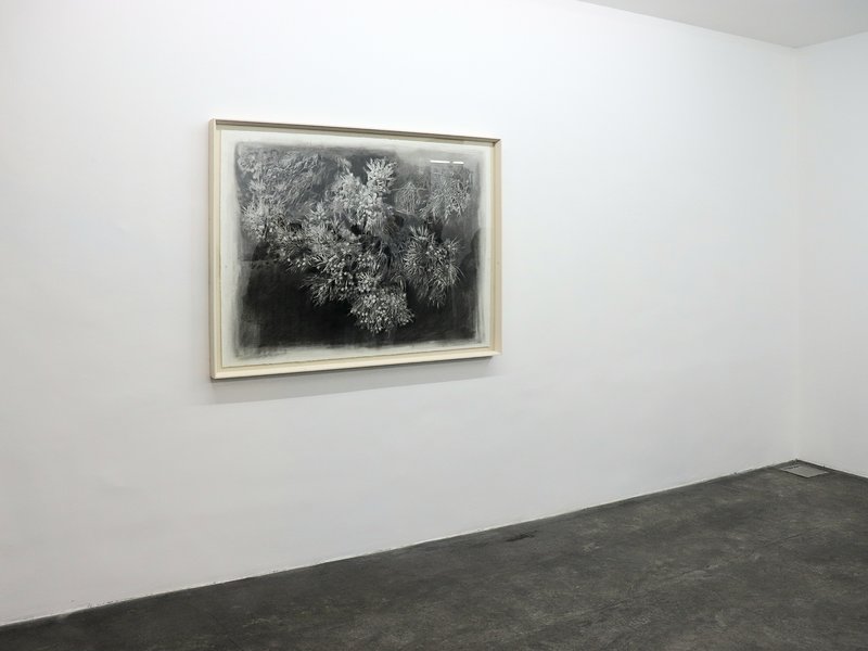 Veiledness, installation view
