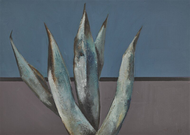 Bahman Mohassess, Untitled (Agave), 0