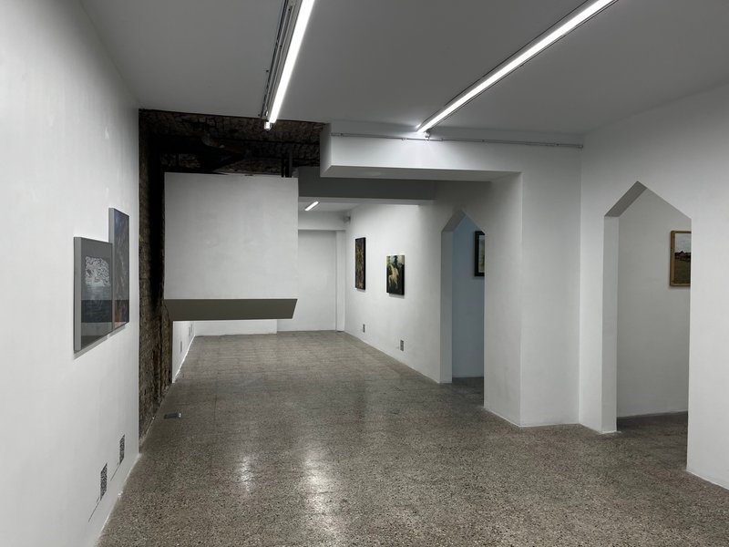 The Horse, installation view