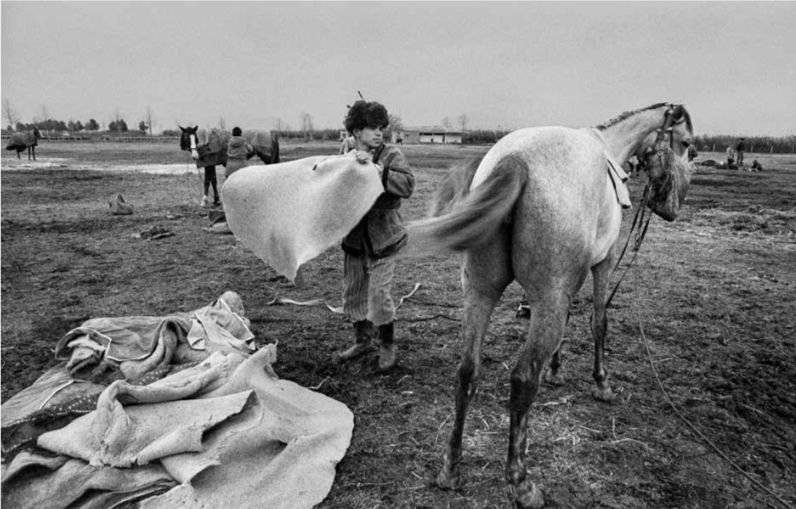 ساسان مویدی، شماره‌ی ۴