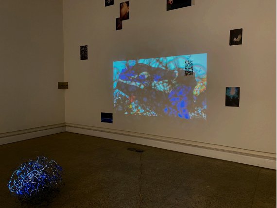 Bardia Salimi, Untitled, 2023